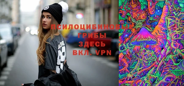 таблы Белокуриха